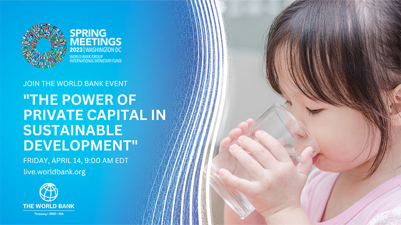 the-power-of-private-capital-in-sustainable-development-TRE-event-page-banner