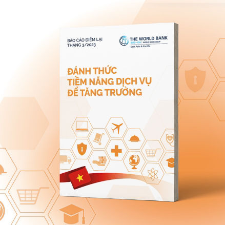 Taking Stock March 2023 Report Cover in Vietnamese