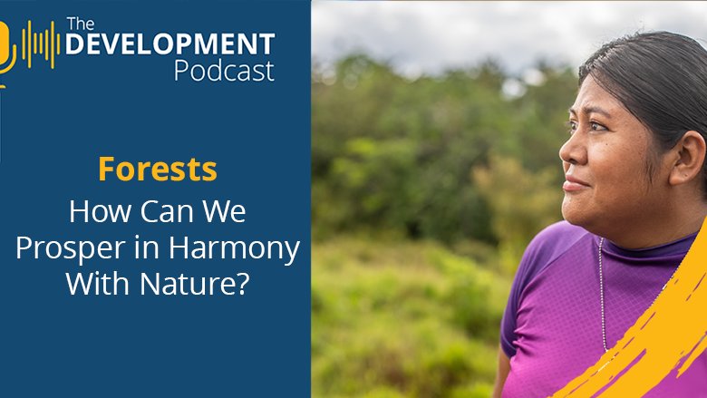 Forests: How Can We Prosper in Harmony With Nature? | The Development Podcast