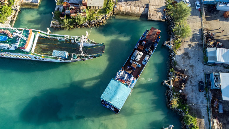 Tonga-trade-story
