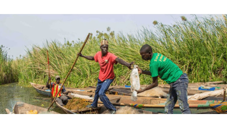 Transboundary Cooperation