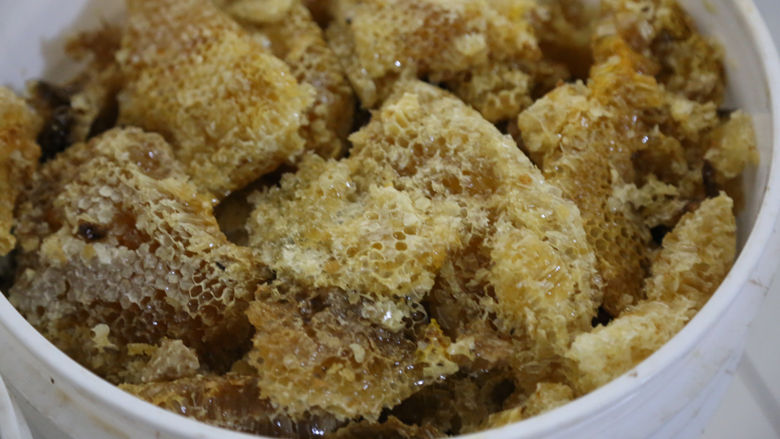 Benin Eco-Friendly Honey Production