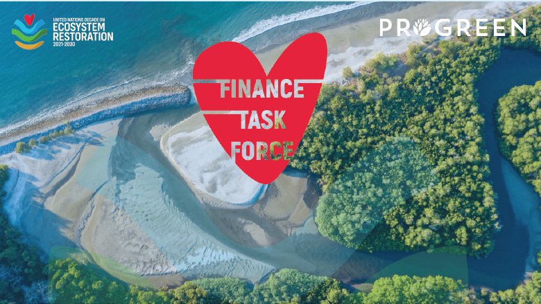 Finance Task Force PROGREEN social card