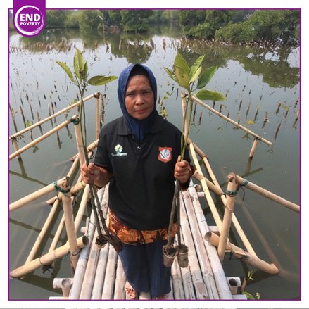 Nini from Indonesia with Mangroves