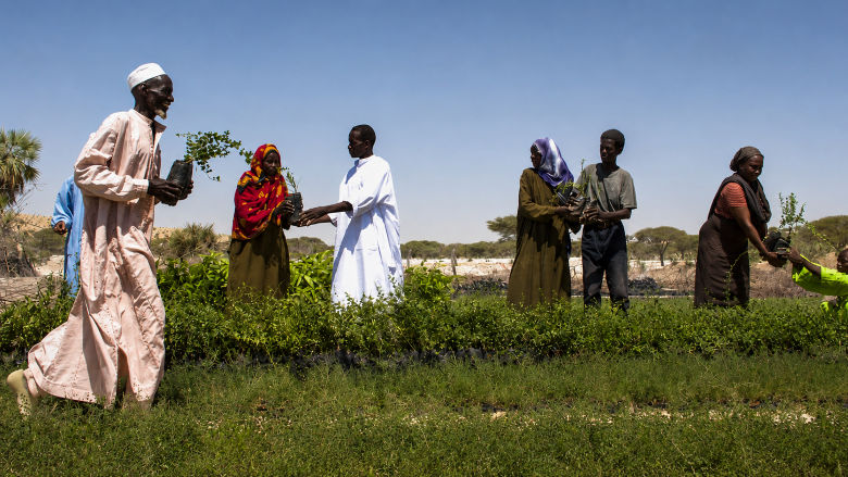 Chad map, Sahel Resiland, World Bank, West Africa