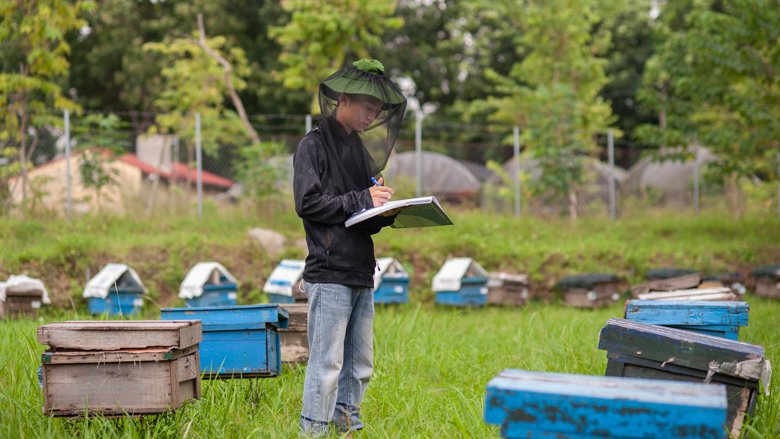 A student at the Center for Tropical Bees and Beekeeping, Faculty of Agronomy checks on beehives. 