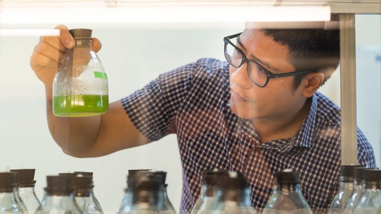 Associate Professor Nguyen Duc Bach is leading the Faculty of Biotechnology’s research in the practical use of microalgae. 