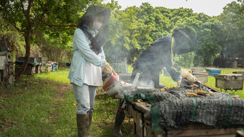 The Center for Tropical Bees and Beekeeping has succeeded in testing the use of double brood boxes to improve honey quality. 