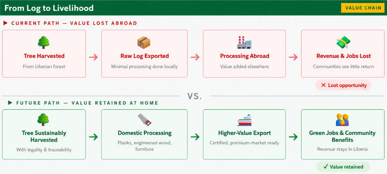 Why domestic processing transforms Liberia's forest wealth