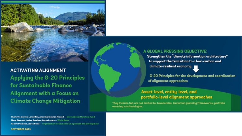 Applying the G-20 Principles for Sustainable Finance Alignment with a Focus on Climate Change Mitigation