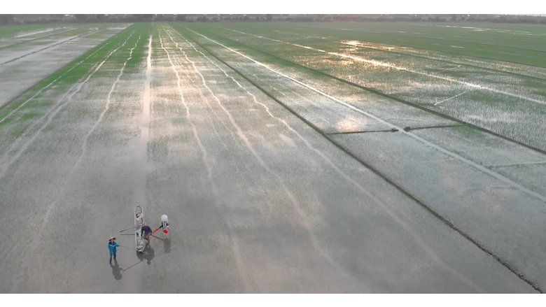 Farmers in Vietnam 