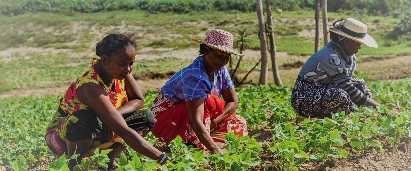 Tackling Food Insecurity