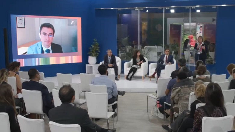 WBG Update on Paris Alignment