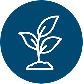 plant icon
