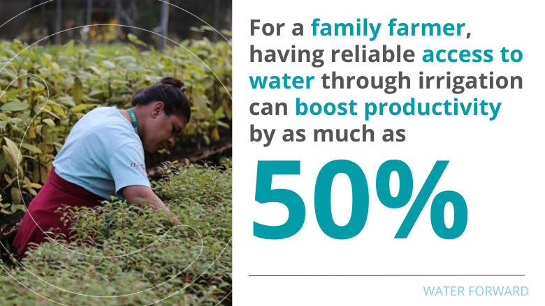 Family Agriculture 