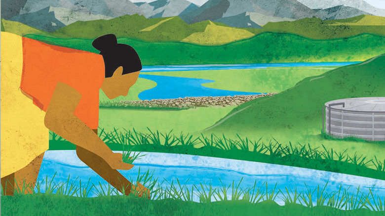 What the Future Has in Store