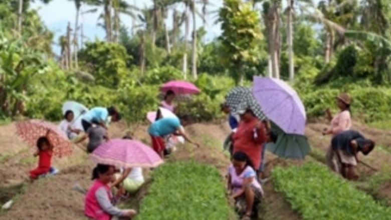 Women farmers