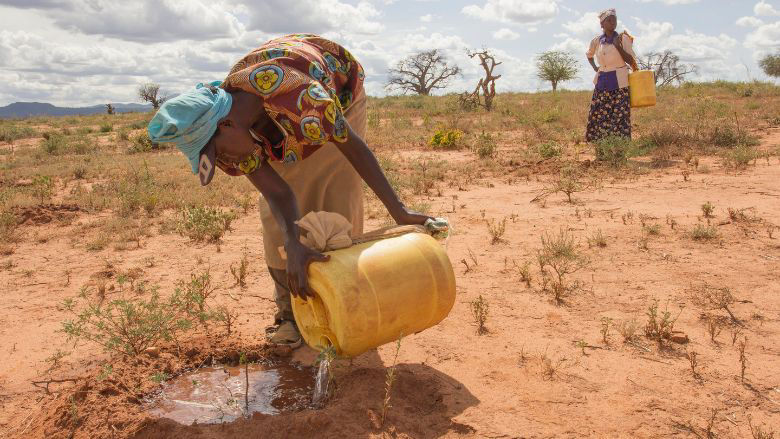 Women watering mukau sapplings in Kenya
