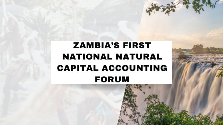 Zambia NCA Forum card