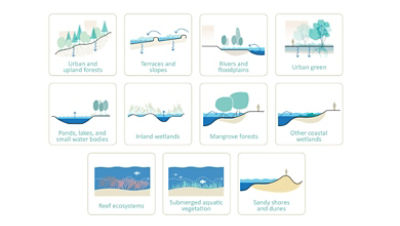 World Bank: Assessing The Benefits And Costs Of Nature-Based Solutions ...