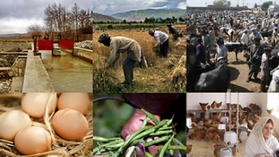 Revitalizing Agriculture for growth, jobs, and food security in 