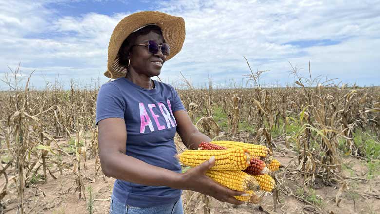 Prioritizing Angolan agriculture 