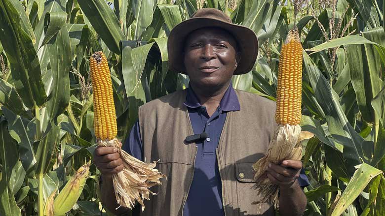 Prioritizing Angolan agriculture 