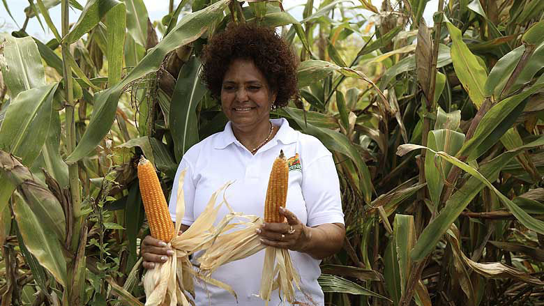 Prioritizing Angolan agriculture 