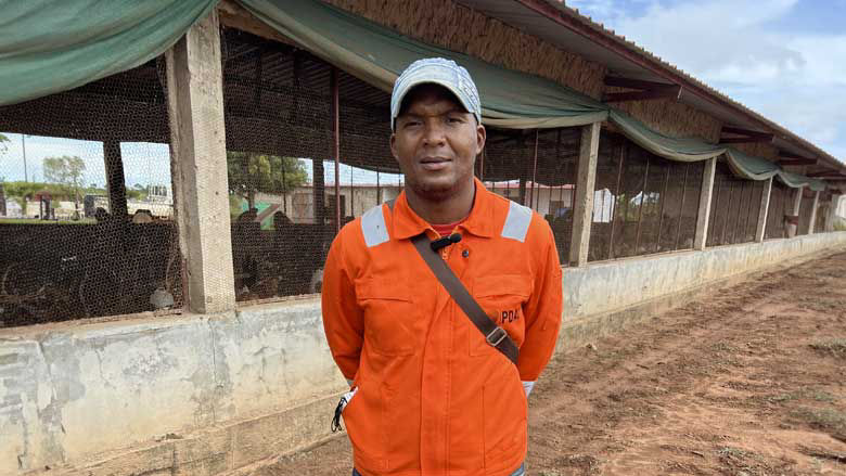 Prioritizing Angolan agriculture 