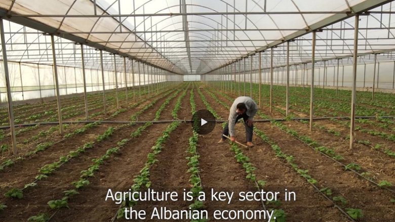 Albania Agriculture
