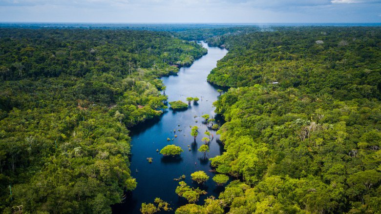 aerial view of river in the Amazon, Brazil