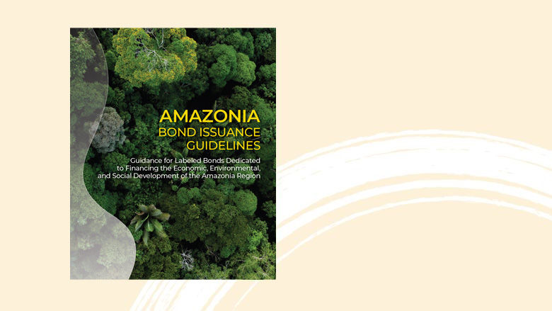 Amazonia Bond Issuance Guidelines