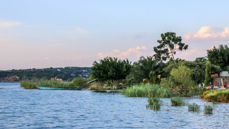 body of water surrounded by trees