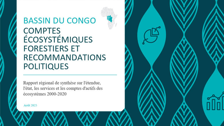Bassin du Congo, comptes écosystémiques forestiers et recommandations politiques
