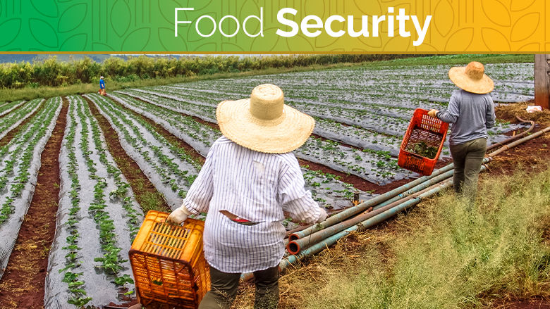 food security update