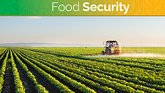 food security update