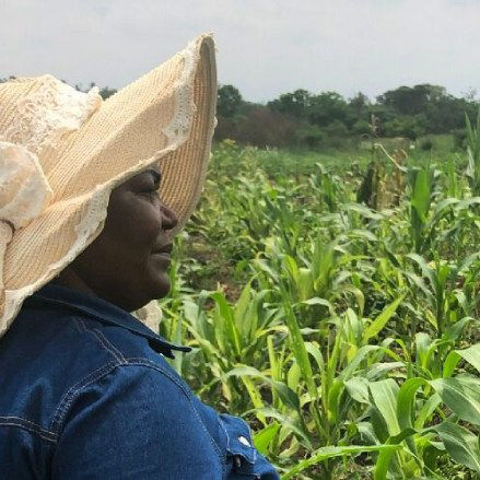 Farmer in the field