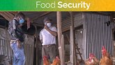 food security update