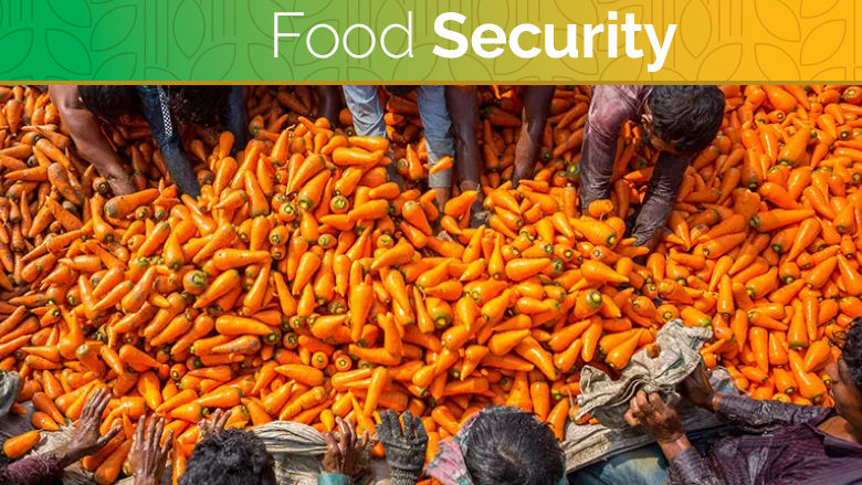 food security update