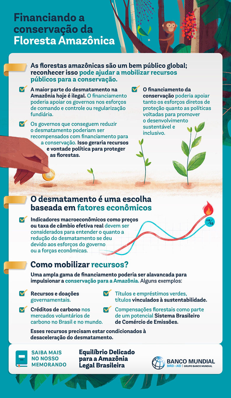 Financiando a conservação da Floresta Amazônica 