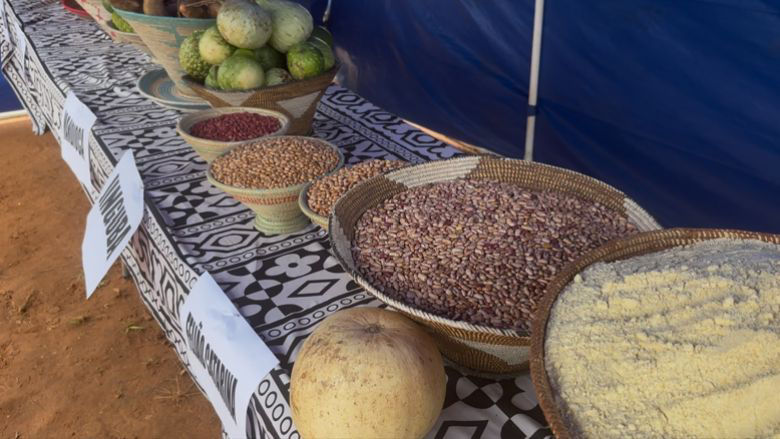 Breaking the Cycle of Poverty