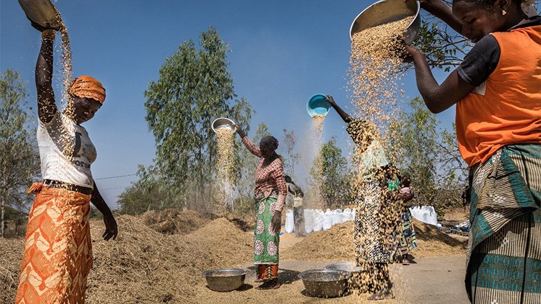 Burkina Faso: Women's role in agricultural value chains
