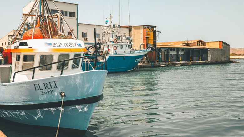 Cabo Verde Economic Update 2024: Blue Economy: Navigating Towards Sustainable Growth in Cabo Verde