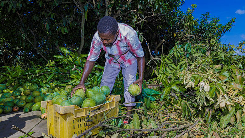 Changing Lives and Livelihoods in Tanzania, One Electricity Connection at a Time