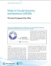 WICER The Case of Lingyuan City, China