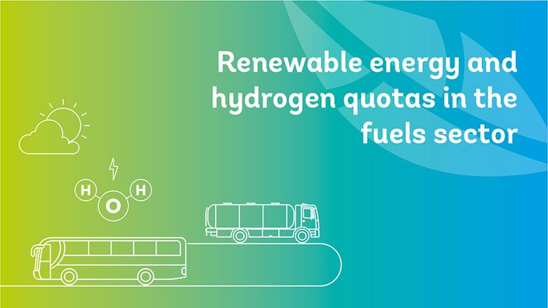 Regulatory assessment of Renewable Energy Quotas, including analysis of green hydrogen value chain