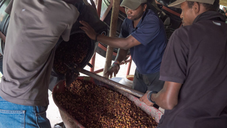 coffee farmers