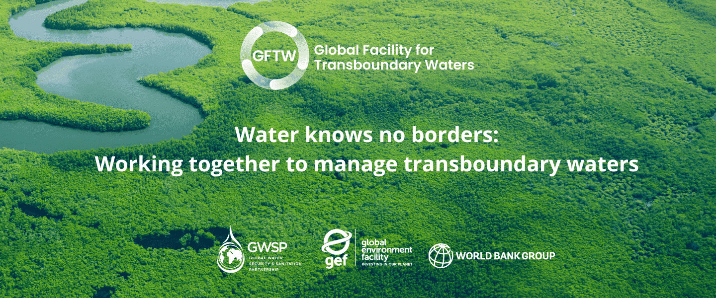 Aerial view of a lush mangrove forest thriving in a turquoise lagoon