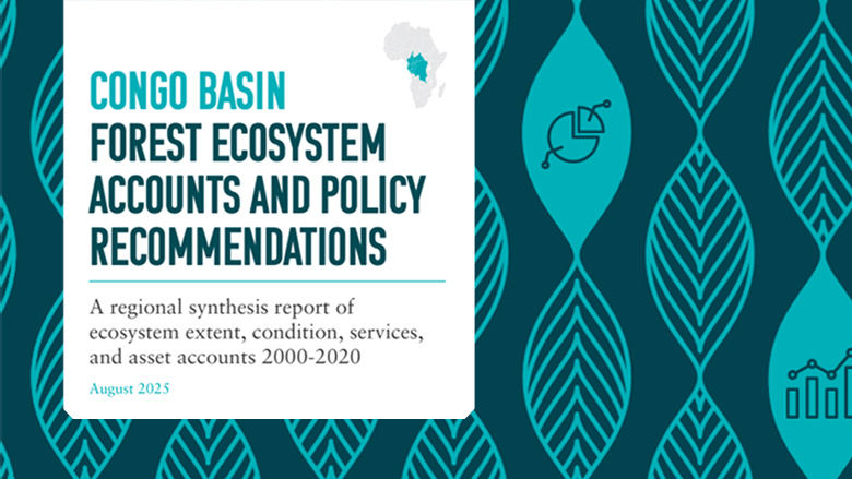 Congo Basin Forest Ecosystem Accounts report and Policy Recommendations