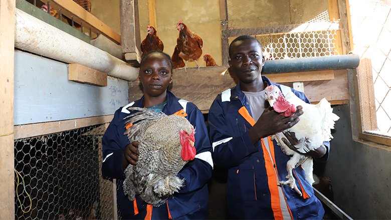 An Education in Poultry Farming for Nzingoula Delaunay